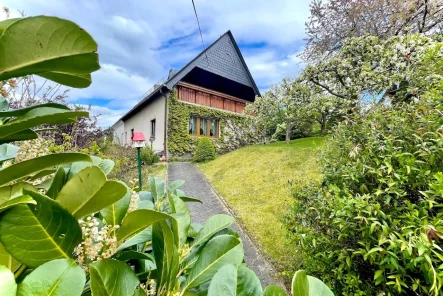 Außenansicht - Haus kaufen in Taura - Doppelhaushälfte in Traumhafter Lage direkt am Feld - Taura