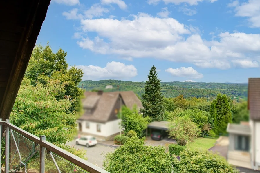 Ausblick vom Balkon 