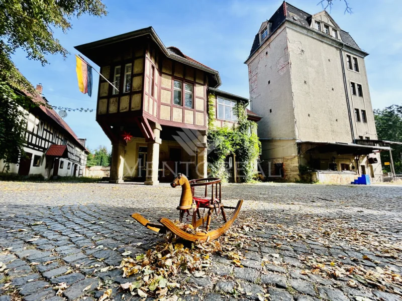 Objektanlage - Haus kaufen in Elstertrebnitz - ***Historisches Mühlenanwesen am Profener Elstermühlgraben - Denkmal***