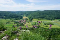 Ausblick ins Trubachtal