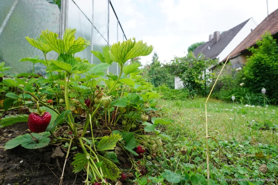 Gartenfreuden