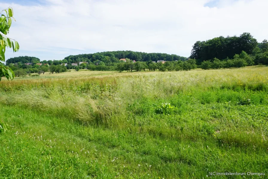 Ein schöner Platz zum Leben