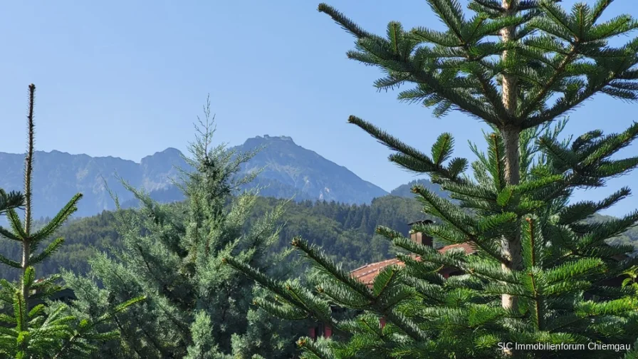 Bergblick auf den "Hochfelln"