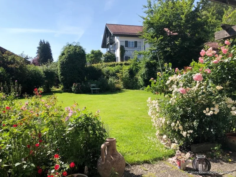 Garten - Sommer