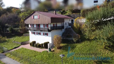 Drohnenansicht 4 - Haus kaufen in Regen - Natur pur! Wohnhaus mit Einliegerwohnung in toller Naturlage in Regen