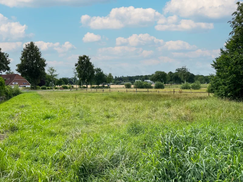 Aussicht Grundstück - Grundstück kaufen in Bendestorf - Wunderschönes Baugrundstück in Bendestorf