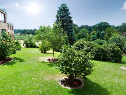 Gartenblick - Wohnung mieten in Bendestorf - Sonnige, frisch renovierte 1-Zimmer Wohnung mit Balkon und Weitblick ins Grüne