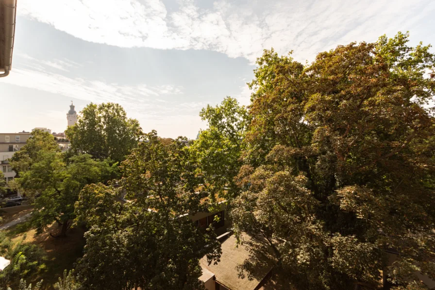 Ausblick Balkon I