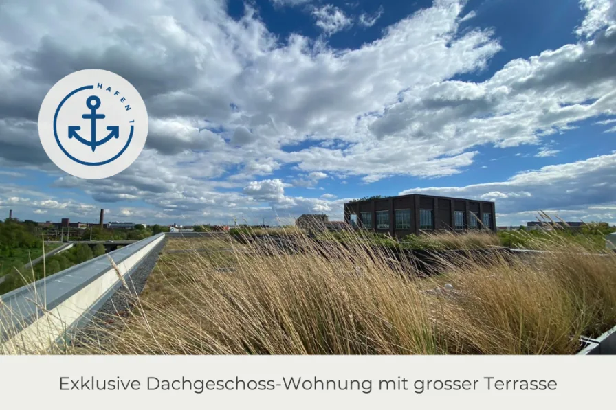 Ausblick Dachterrasse - Wohnung mieten in Leipzig - **Hafen 1 | Wohntraum mit großer Dachterrasse & Blick auf den Kanal | 3 Zimmer | 2 Bäder | Aufzug**