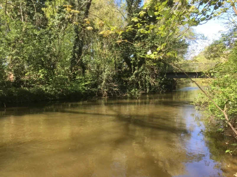 Flusslauf am Gartenende