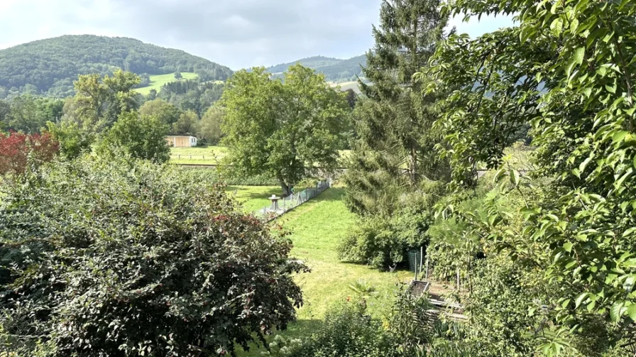 Fernblick vom Balkon OG