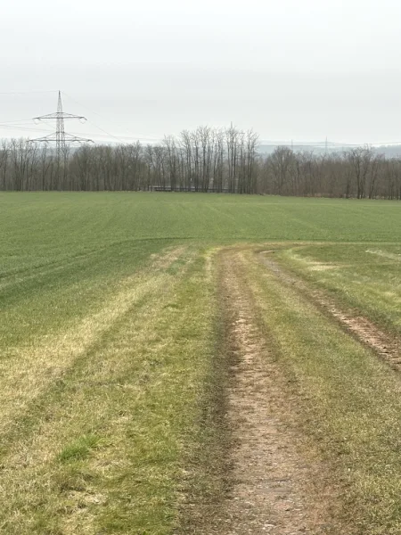 zu erschließender Zuweg