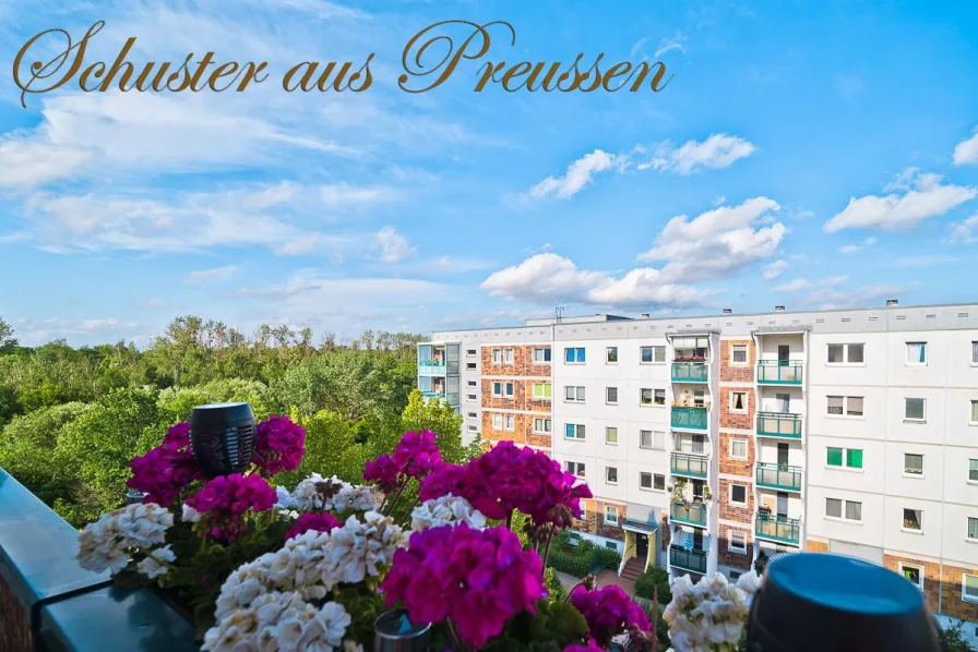 Blick vom Balkon Norden - Wohnung kaufen in Berlin - Schuster aus Preussen - 3 Zimmer Dachgeschosswohnung mit Balkon und wunderbarer Aussicht