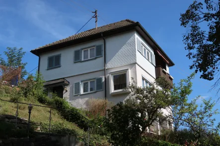 Außenansicht - Haus kaufen in Oberndorf - Einfamilienhaus mit Garten 