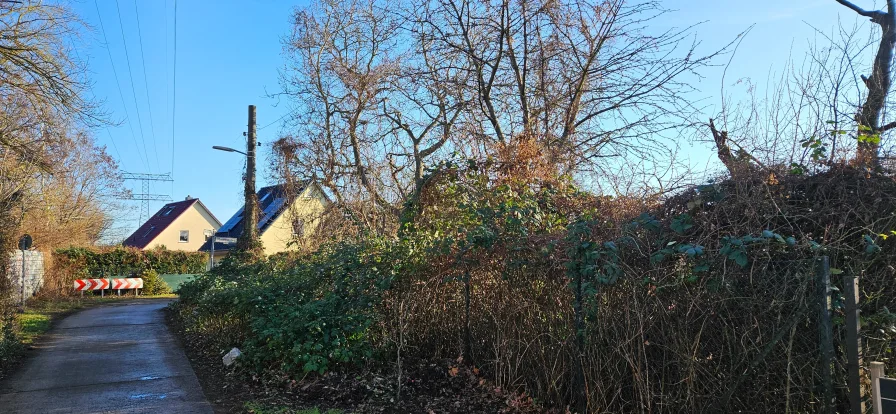 Grundstücksansicht - Grundstück kaufen in Berlin - Baugrundstück im Dornröschenschlaf – für Einfamilienhaus oder Doppelhaus