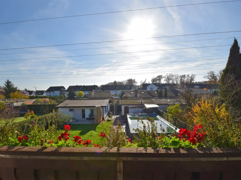 Blick in den Garten und auf den Pool.