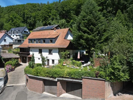  - Haus kaufen in Waldaschaff - Künstlerisches Einfamilienhaus mit Bauplatz!