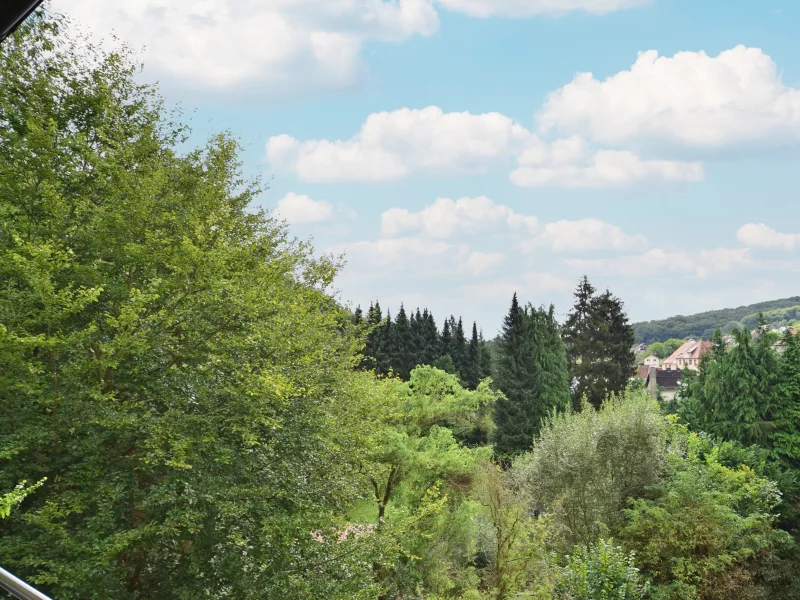 Blick ins Grüne