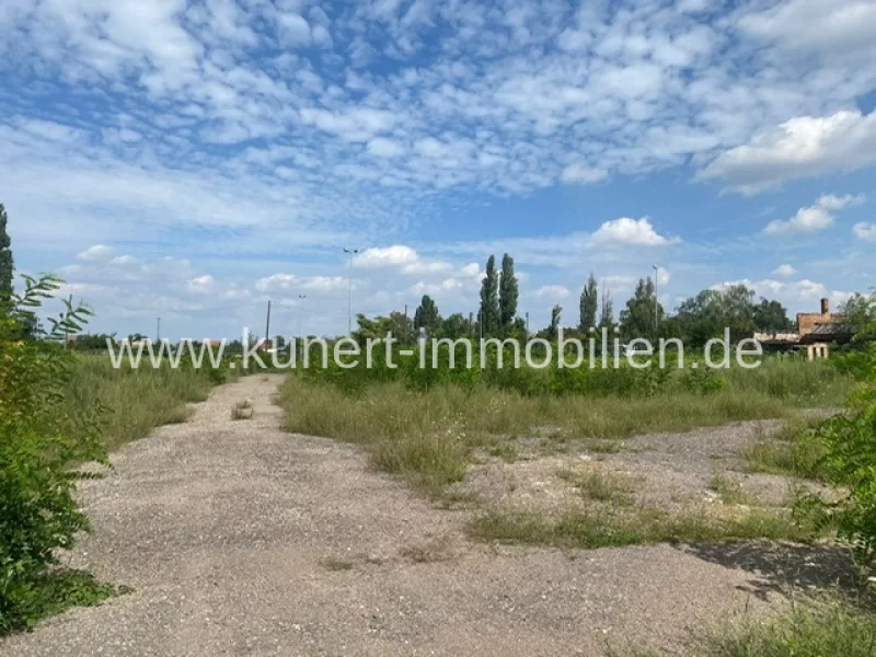 Verkaufsliegenschaft - Grundstück kaufen in Halle (Saale) / Ost - 7256 m² Gewerbegrundstück in bester Lage der Delitzscher Straße, zur Bebauung vorbereitet