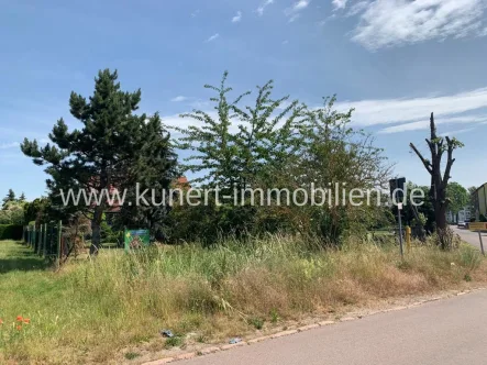 Grundstück - Sonstige Immobilie kaufen in Tornau - 99 m² Grundstück im Kreuzungsbereich von Halle-Tornau