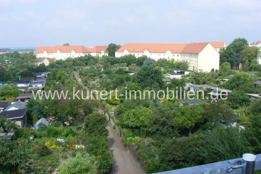 Blick ins Grüne vom Balkon