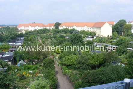 Blick ins Grüne vom Balkon - Wohnung kaufen in Halle (Saale) - Gepflegte 4-Zimmer-Wohnung im 2. OG mit Balkon und Blick ins Grüne sowie Stellplatz im Innenhof