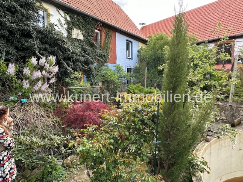 Gartenseite - Haus kaufen in Halle - Halle-Dölau: Herrenhaus mit ca. 400 m² Wohnfläche und 150 m² Nutzfläche in sehr guter Wohnlage