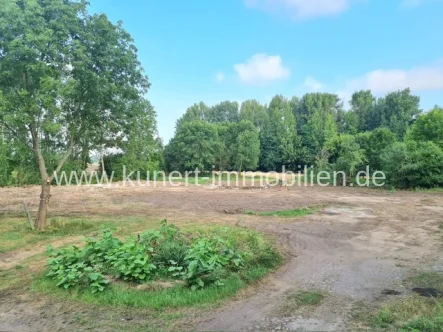 Grundstück Zum Wäldchen - Grundstück kaufen in Plötz - Baugrundstück für Einfamilienhaus in idyllischer Lage bei Halle (Saale) - provisionsfreier Verkauf