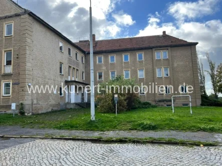 Hausansicht - Haus kaufen in Sangerhausen - Entwicklungsliegenschaft mit solider Substanz und ca. 3.224 m² Wohnfläche in Sangerhausen