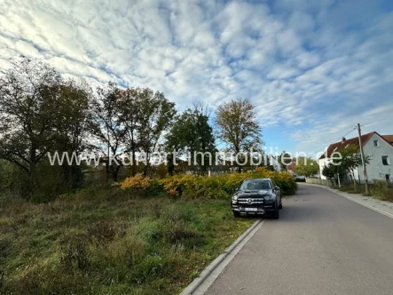 Baugrundstück und Straße - Grundstück kaufen in Halle - Baugrundstück (2024 m²) inkl. Baugenehmigung für 4 EFH in romantischer Wasserlage von Halle (Saale)