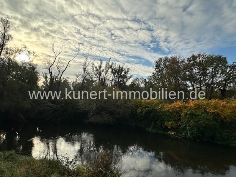 Vorbeifließende Weiße Elster