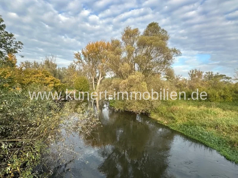 Vorbeifließende Weiße Elster - Sonstige Immobilie kaufen in Halle - Baugrundstück (2024 m²) inkl. Baugenehmigung für 4 EFH in romantischer Wasserlage von Halle (Saale)