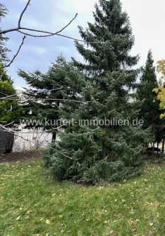 Gartenbild - Haus kaufen in Halle - Attraktives Mehrfamilienhaus am Mühlwegviertel mit großem Grundstück und Entwicklungsmöglichkeiten