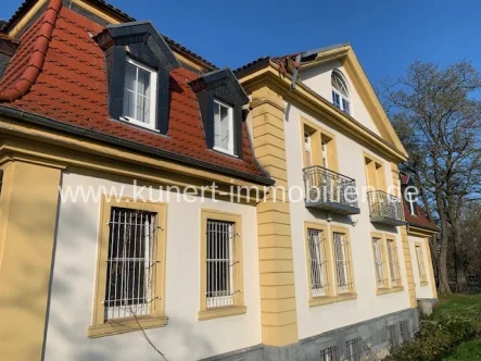 Verkaufsliegenschaft - Haus kaufen in Schkopau - Sanierungsbedürftiges Denkmal mit ca. 800 m² Wohn- und Nutzfläche in guter Wohn- und Gewerbelage