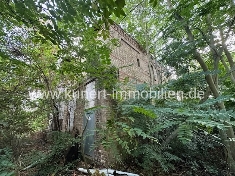 Großes Gebäude im Gartenbereich