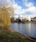 Nahe am Lietzensee