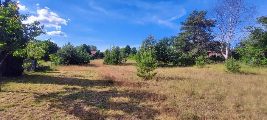 Grundstück - Grundstück kaufen in Liebenwalde - Langgestrecktes Grundstück mit Waldzugang