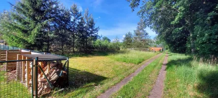 Grundstück - Grundstück kaufen in Liebenwalde - Baugrundstück mit Waldzugang