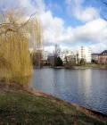 Nahe am Lietzensee