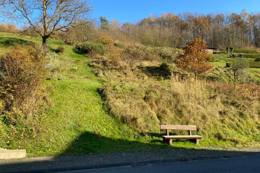  - Grundstück kaufen in Flörsbachtal / Lohrhaupten - Grundstück für Bauherren mit viel Platzbedarf in Flörsbach!