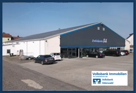  - Zinshaus/Renditeobjekt kaufen in Dieburg - Investieren Sie in Ihre Zukunft: Multifunktionales Anwesen im Industriegebiet von Dieburg!