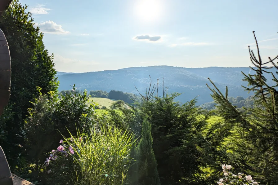 Aussicht Terrasse