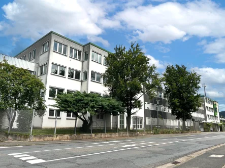 Außenansicht - Halle/Lager/Produktion kaufen in Collenberg - Gewerbepark mit umfangreichen Verwaltungs-, Büro- und Lagerflächen sowie Werkhallen in Collenberg