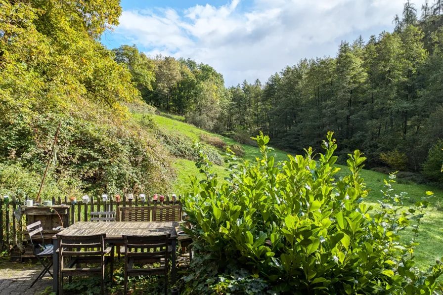 Terrasse Titel - Haus kaufen in Reichelsheim - Mehr Natur geht nicht - Wohnen, wo andere Urlaub machen!