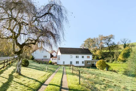 Ansicht-Zufahrt - Haus kaufen in Reichelsheim - Es gibt sie noch-die einmalige Chance: Zweifamilienhaus mit Scheune & Wiese am Ortsrand in Naturnähe