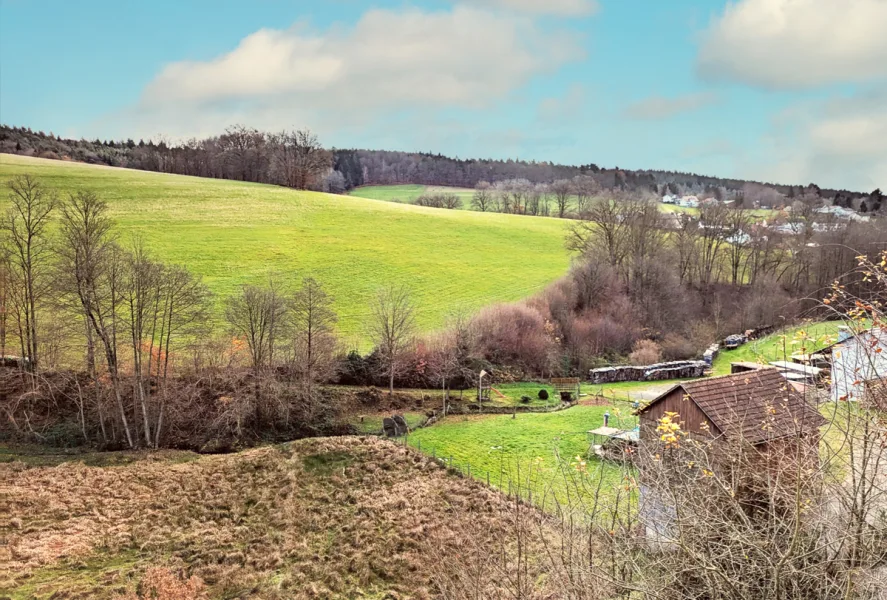 Aussicht Balkon SO