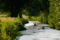 Wümmepaddler