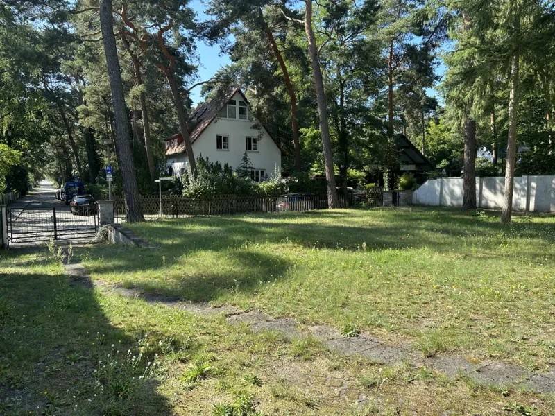 vorderer Grundstücksbereich - Grundstück kaufen in Kleinmachnow - Traumhaftes Grundstück am Bannwald in Kleinmachnow