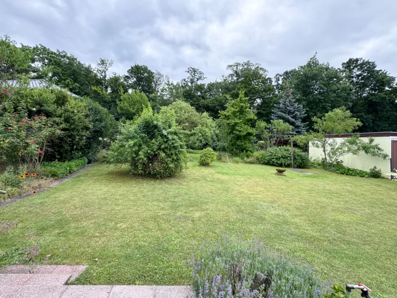 Blick in den Garten - Grundstück kaufen in Blankenfelde - 1.100 m² großes, sonniges, teilbares Grundstück für zwei Einfamilienhäuser in Blankenfelde