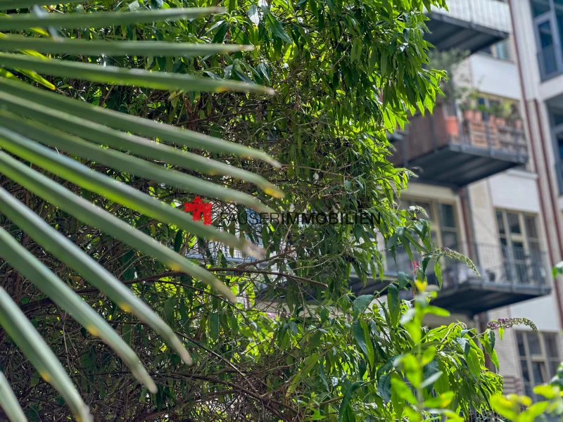  - Wohnung kaufen in Berlin-Friedrichshain - MODERNES WOHNEN MIT LOFT CHARME: LÄSSIGE UND HELLE 3-ZIMMERWOHNUNG MIT TERRASSE+ BEZUGSFREI